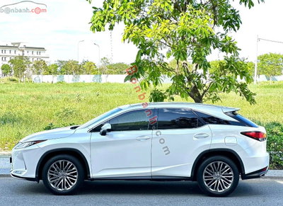 Xe Lexus RX 300 2020