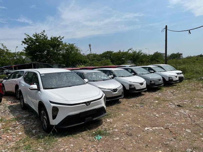 VF Limo Green 2026