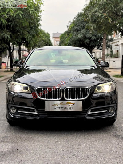 Xe BMW 5 Series 520i 2014