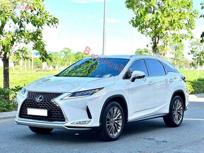 Xe Lexus RX 300 2020