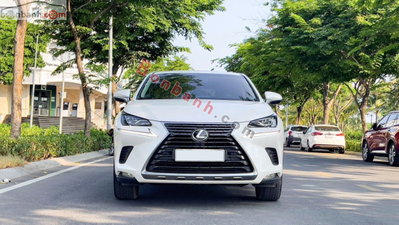 Xe Lexus NX 300 2019