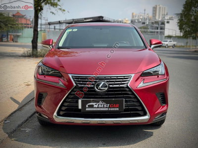 Xe Lexus NX 300 2019