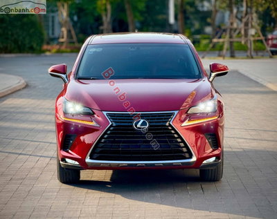 Xe Lexus NX 300 2019