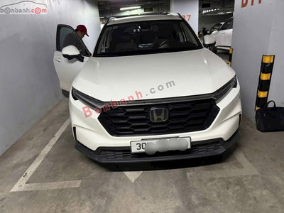 Xe Honda CRV L 2024