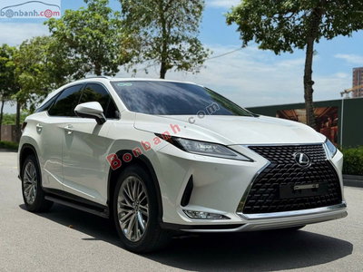 Xe Lexus RX 300 2020