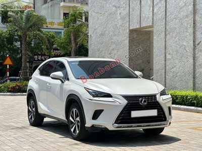 Xe Lexus NX 300 2019