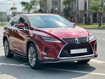 Xe Lexus RX 300 2022