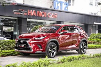 Xe Lexus NX 300 2019