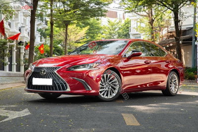 Xe Lexus ES 250 2023