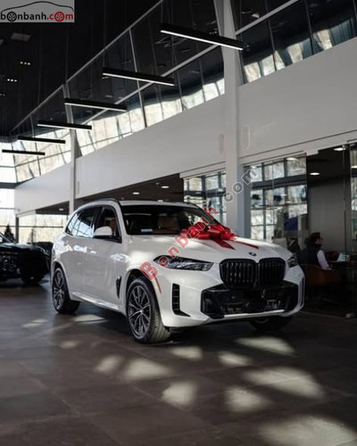 Xe BMW X5 xDrive40i M Sport 2025