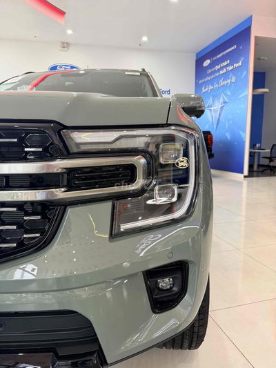 Ford Everest Platinum 4x4 Xám