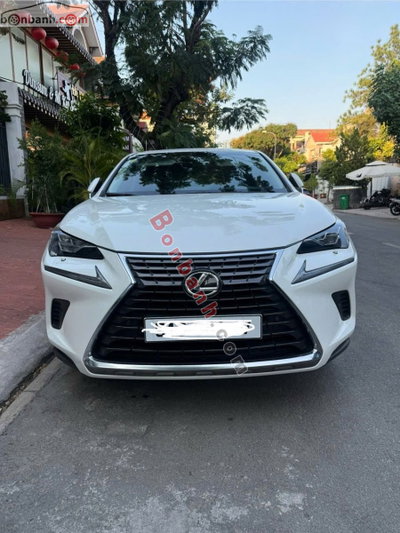 Xe Lexus NX 300 2017