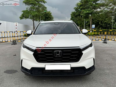 Xe Honda CRV L 2024