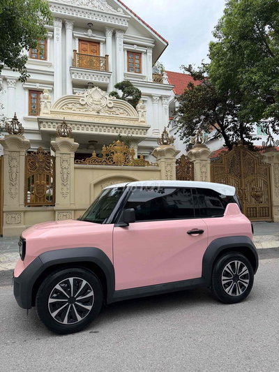Xe điện VinFast VF3 2025 Hồng