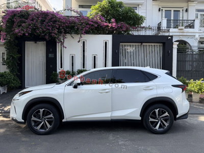 Xe Lexus NX 300 2017