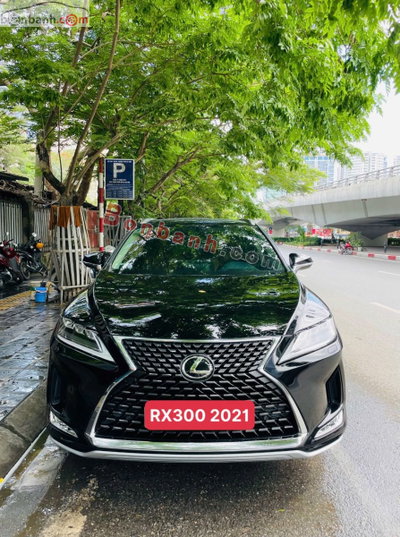Xe Lexus RX 300 2021