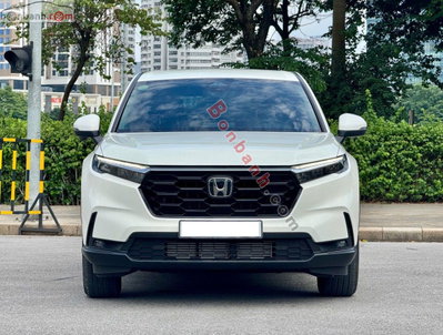 Xe Honda CRV L 2026
