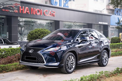 Xe Lexus RX 300 2020