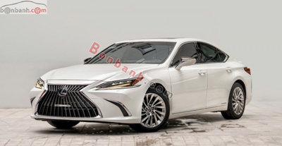 Xe Lexus ES 300h 2022