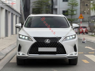 Xe Lexus RX 300 2021