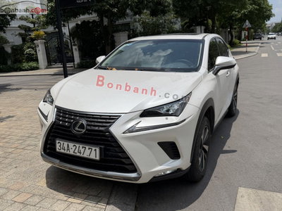 Xe Lexus NX 300 2018
