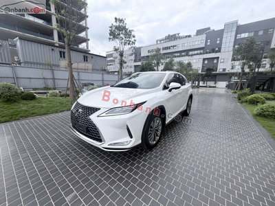 Xe Lexus RX 300 2021