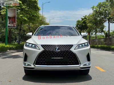 Xe Lexus RX 300 2020