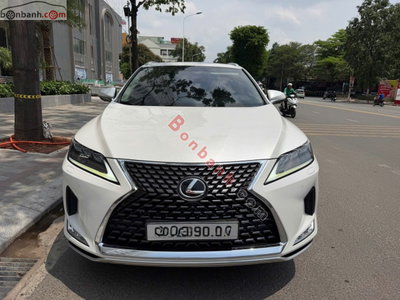 Xe Lexus RX 300 2020