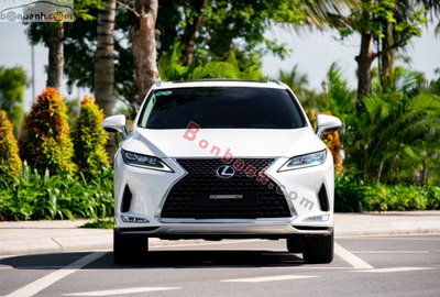 Xe Lexus RX 300 2020