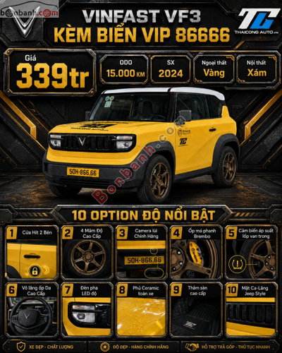Xe VinFast VF3 Đặc Biệt 2024