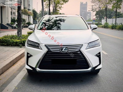 Xe Lexus RX 300 2019