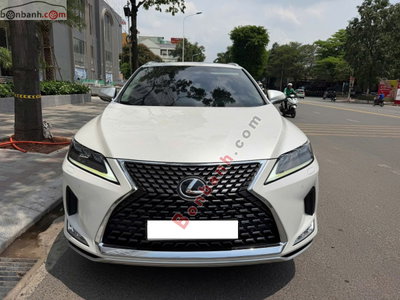 Xe Lexus RX 300 2021