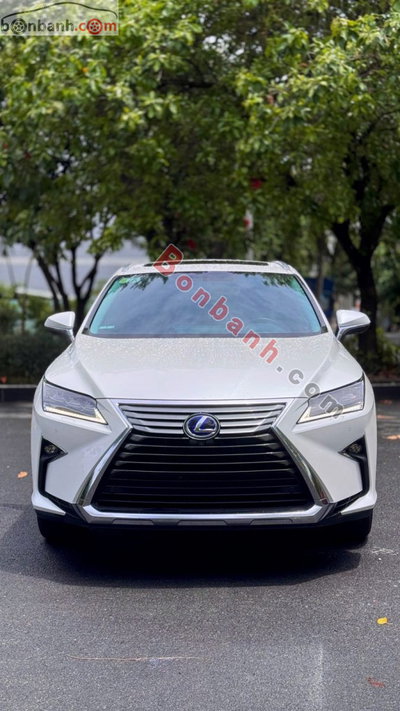 Xe Lexus RX 450h 2019