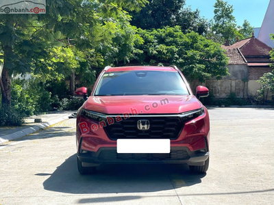 Xe Honda CRV L 2024
