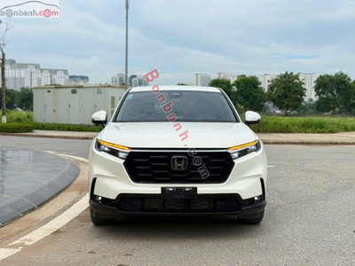 Xe Honda CRV L 2024