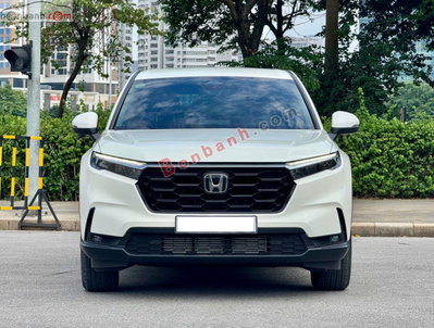 Xe Honda CRV L 2026