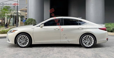 Xe Lexus ES 250 2019