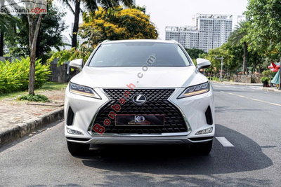 Xe Lexus RX 300 2020
