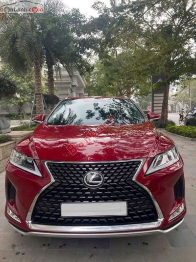 Xe Lexus RX 300 2022