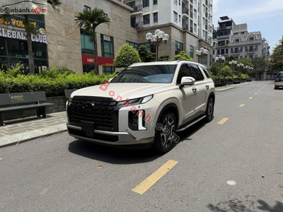 Xe Hyundai Palisade Prestige 2.2 AT HTRAC 2024