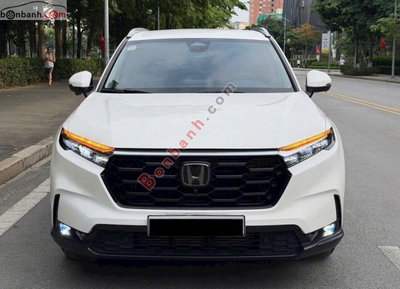 Xe Honda CRV L 2024