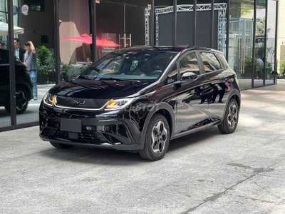 Xe điện BYD Dolphin màu Nâu