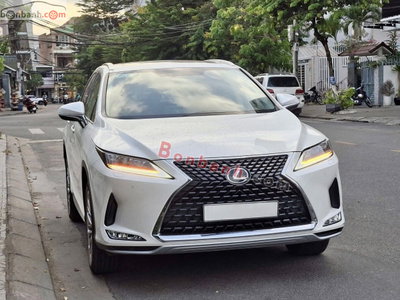 Xe Lexus RX 300 2021