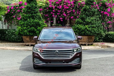 Xe Volkswagen Viloran Luxury 2024