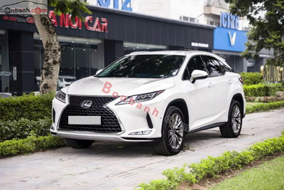 Xe Lexus RX 300 2020