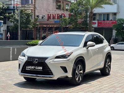 Xe Lexus NX 300 2019
