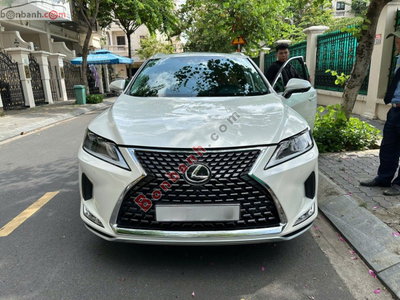 Xe Lexus RX 300 2021