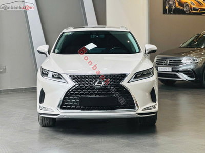 Xe Lexus RX 300 2021
