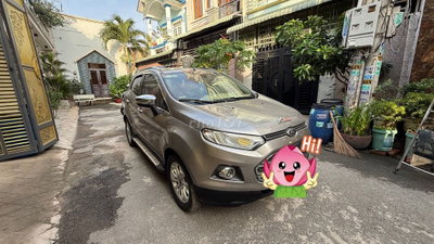 Ford EcoSport 2016 Ghi xám 159.868 km