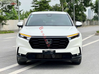 Xe Honda CRV L 2024